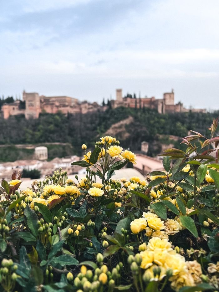 Beautiful view of Alhambra Palace in Granada with vibrant yellow flowers in the foreground.